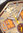 FIREFOX - CHRONOGRAPH GIANT - beige braun / 46 x 47 MM